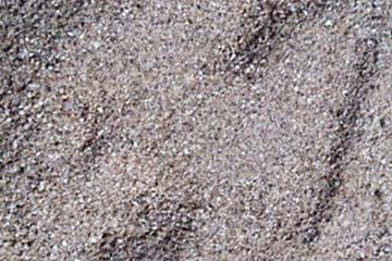 芝生の目土用の砂 配達専門